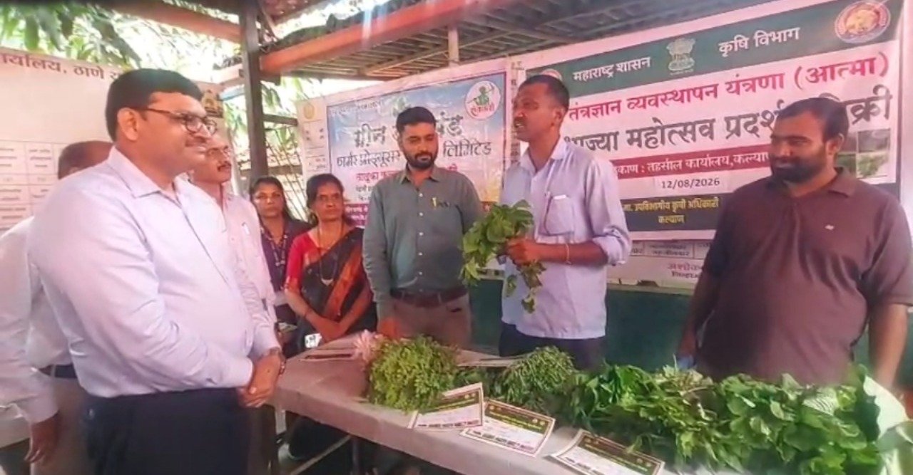 शहरवासीयांसाठी रानभाज्यांची मेजवानी; एकदिवसीय रानभाज्या महोत्सवाचे आयोजन