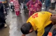 केडीएमसी क्षेत्रातील भटक्या श्वानांसाठी अँटी रेबीज लसीकरणाला सुरुवात