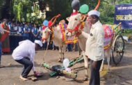 बैलपोळ्यातून विद्यार्थ्यांना शेती-संस्कृतीची ओळख