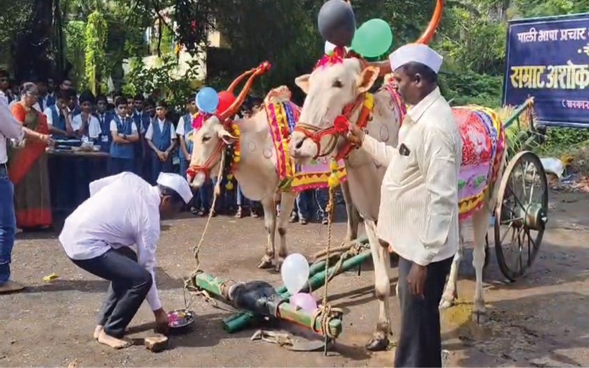 बैलपोळ्यातून विद्यार्थ्यांना शेती-संस्कृतीची ओळख