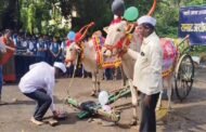 बैलपोळ्यातून विद्यार्थ्यांना शेती-संस्कृतीची ओळख